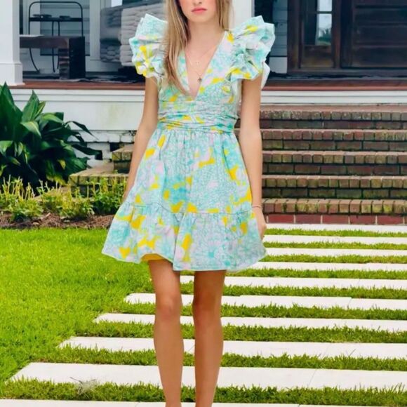 hutch Dresses & Skirts - NWT Hutch Flutter Sleeve Raffia Dress with Pockets size S